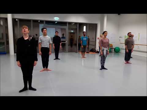 8 Exercises by Hans Züllig