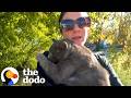 Woman Sees A Cat Get Hit By A Car And Never Leaves Him Behind The Dodo