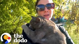 Woman Sees A Cat Get Hit By A Car And Never Leaves Him Behind | The Dodo