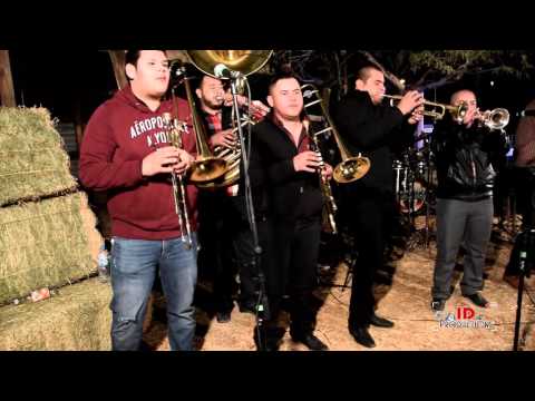 Banda La Acelerada - El Cholo (En Vivo 2016)