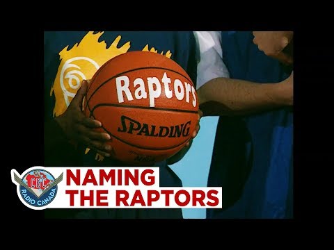 Raptors, Beavers or Hogs? What the Toronto Raptors could have been named