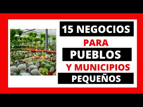 , title : '15 NEGOCIOS PARA COMENZAR EN  PUEBLOS O MUNICIPIOS PEQUEÑOS   PARTE 1'