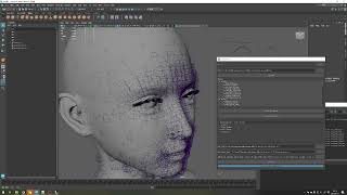 Custom Metahuman basemesh and blendshape to a New DNA file and import it to UE5