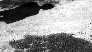 Go to the water - (Jamie Oakes) Krassen Krastev