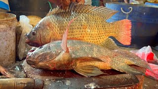 Big Tilapia Fish Cleaning & Cutting Live In Fish Market | Fish Cutting Skills