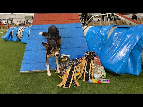 Jasmin Jähne und Lola Agility A1, intermediate Best of Februarturnier 2023