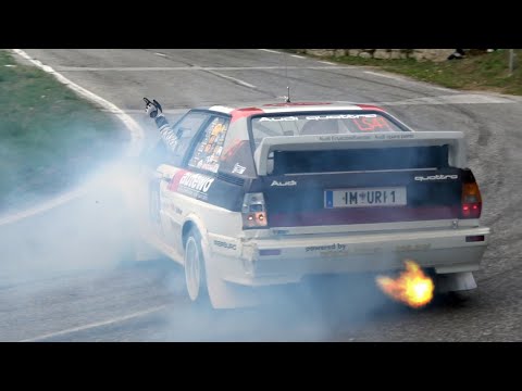 Best of Rally 2019 | FLAT OUT ACTION & SHOW
