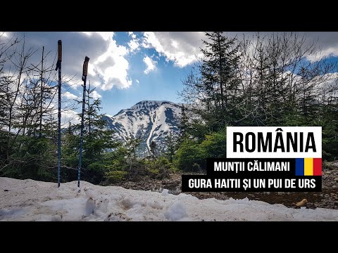 1 Mai si un pui de urs | Gura Haitii | Calimani