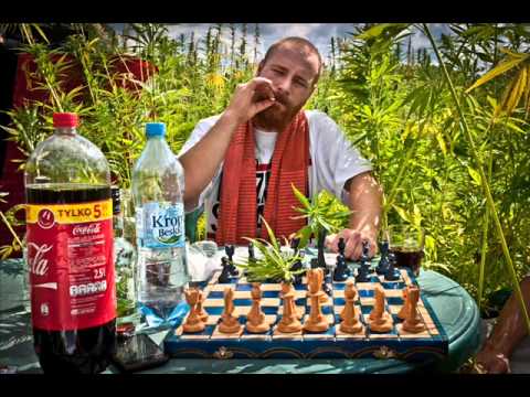 Projekt Nasłuch - 8 (Bob Air Instrumental)