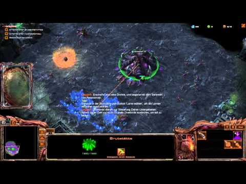 Let's Stream StarCraft Mass Recall [Mittel | Deutsch] - Part 42