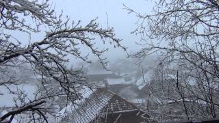 Statement by Sean Hross concerning Suicidation, False Flag Crime & Swiss Organised Nazi Terror