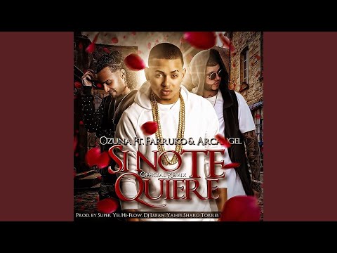 Si No Te Quiere (Remix)