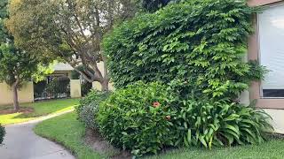 Retiring in America - Home is a place to return to, a nest PART 1