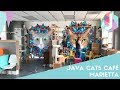 Java Cats Cafe Marietta