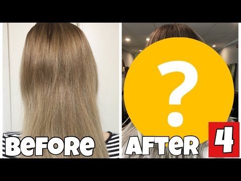 新發型！ (NEW HAIR!)