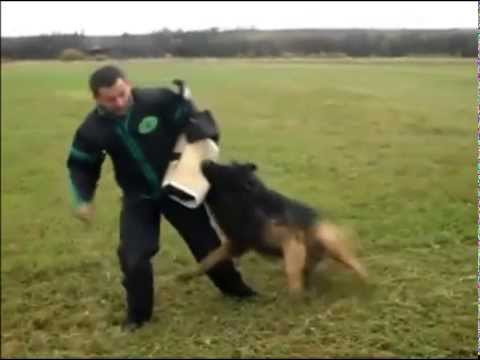 Nesto von der Grafenburg