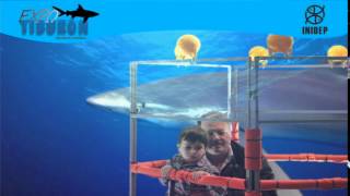 DIA 2 Expo Tiburon213