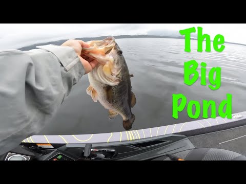 Is the Best Bass Fishing lake in the Country good in the Winter? (Clearlake, CA)