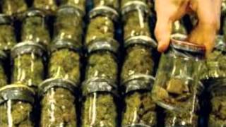 Wiz Khalifa - Mia Wallace (Taylor Allderdice)