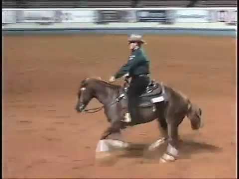 Shawn Flarida- Quistador