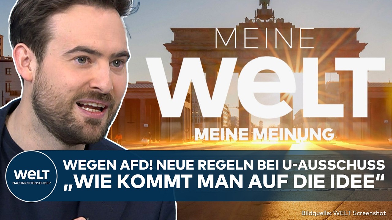 MEINE MEINUNG: Panik vor AfD! Neue Regelung bei U-Ausschüssen in Rheinland-Pfalz