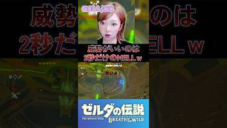 来いよぉ！(できれば来んな) #ブレワイ #ゼルダの伝説ブレスオブザワイルド #shorts
