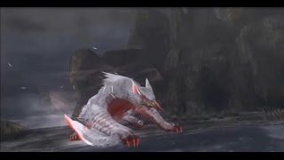 極み駆けるナルガクルガ（弱個体）狩猟動画【モンハンフロンティア】