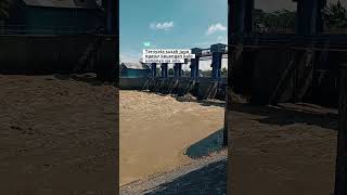 Download lagu apa cuma gua doang ini yg susah ya #storytime #storywa #truestory mp3