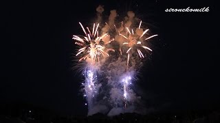 preview picture of video '2014年 赤川花火大会 デザイン花火「ヒーリング花火」Design Fireworks in Akagawa Fireworks 2014 in japan.'
