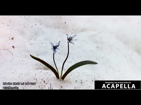 HiraiZerdüş | Sen de beni sevdin mi? - Acapella Müziksiz Vokal +Şarkı Sözleri