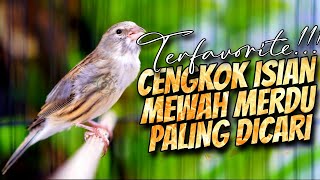 Download lagu PALING DICARI - MASTERAN KENARI ISIAN BLACKTHROAT GACOR EFECTIF BIKIN GACOR KENARI PAUD CALON JAWARA mp3