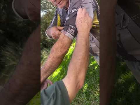 ÉDIO ROSSETO CONVERSA COM HOMEM ATACADO POR ONÇA EM TOLEDO 