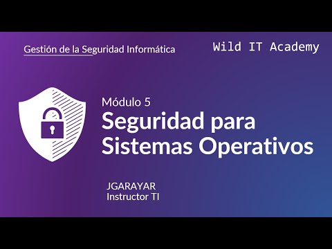 Seguridad Informática Wild IT Academy