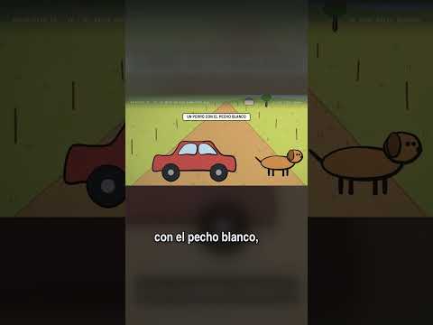 Un nene de seis años contó algo | El caso Sofía Herrera