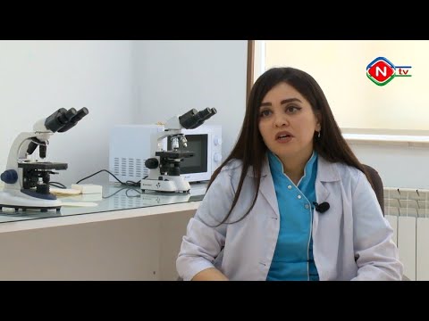 Günün tələbi - 02.11.2022