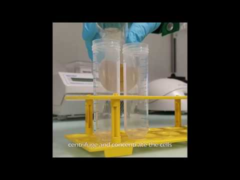 TechThursday XCV: Illuminator 5000 - aka E. coli Disco💃💫💃