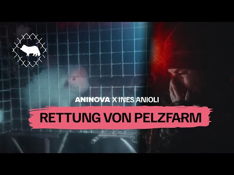 ANINOVA X INES ANIOLI Riskante Tierrettung von Pelzfarm