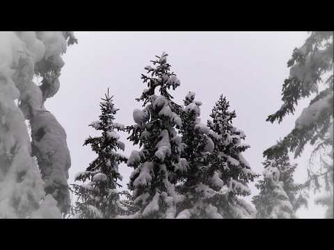 Dan Andersson - Ett dystert julminne