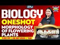 Morphology Of Flowering Plants GIB ️ Class 11 CBSE Biology Xylem NEET Tamil