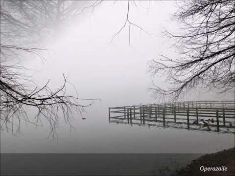 Kurt Moll: Vier ernste Gesänge by Brahms