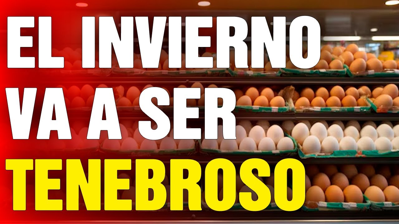 12 Alimentos que DEBES COMPRAR antes de Noviembre