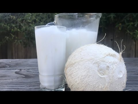 Coconut Drink | Agua Fresca de Coco