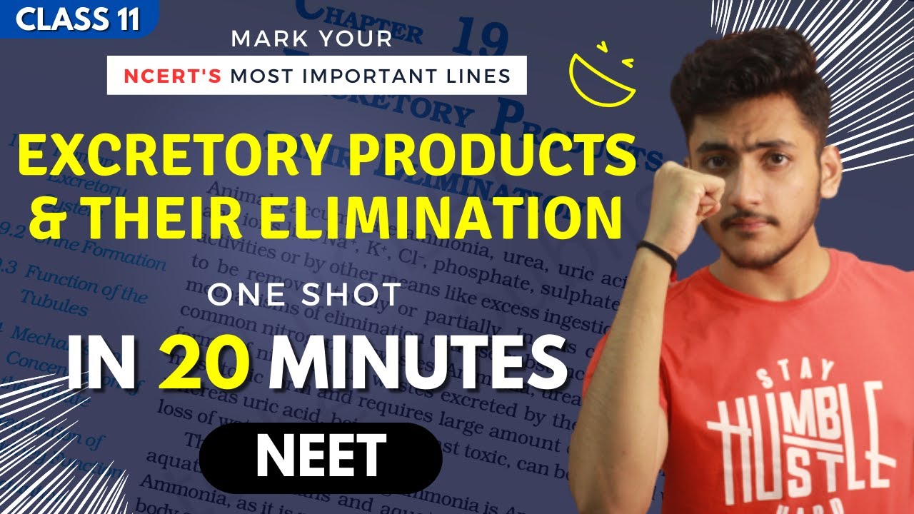 Excretory Products and their Elimination Class 11 | Biology | For NEET | Full Revision In 20 Minutes