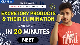 Excretory Products and their Elimination Class 11 | Biology | For NEET | Full Revision In 20 Minutes