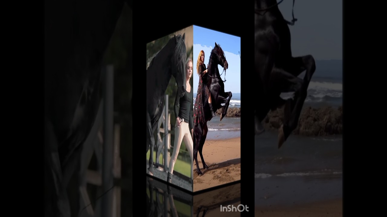 Horse 🐎 #riding #funk #viral #ytshorts #viralshorts #short