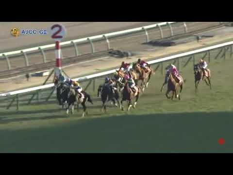 競馬G ―ll阪神大賞典直前人気馬シャケトラ前走