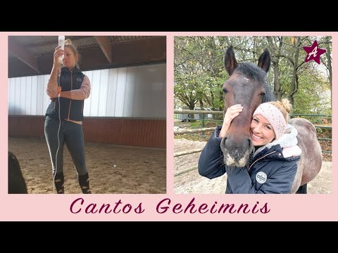 Sehr schwere Entscheidung I Canto ist kein Hengst mehr I Kastration zuhause bei älterem Pferd