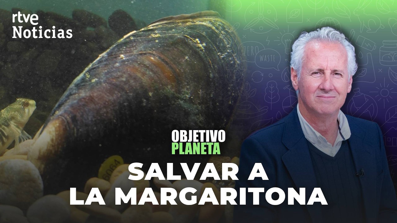 🔴DIRECTO | La margaritona, el bivalvo que filtra el Ebro, en estado crítico | RTVE Noticias