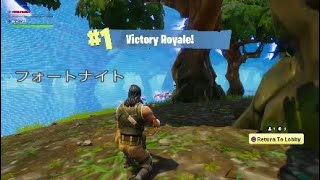 『Fortnite』フォートナイト、ドン勝集です