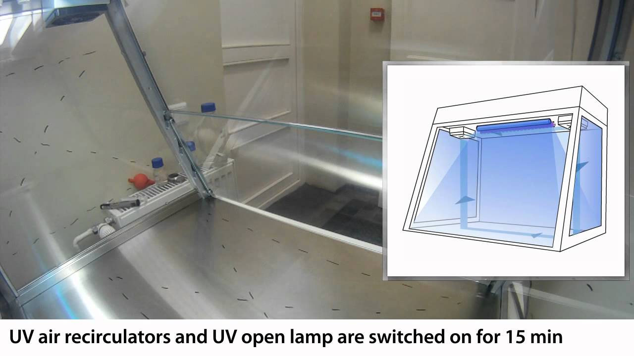 UVT-S-AR DNA/RNA UV-cleaner box (BIOSAN) – Mira Lab